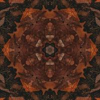 fondo abstracto marrón. patrón de caleidoscopio de madera. foto gratis.
