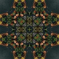 fondo rectangular abstracto verde oscuro. patrón de caleidoscopio de abeto. fondo libre. foto