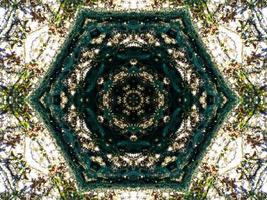 Dark green abstract rectangular background. Dense forest kaleidoscope pattern. Free background. photo