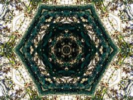 Dark green abstract rectangular background. Dense forest kaleidoscope pattern. Free background. photo