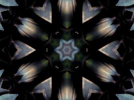 Black and white kaleidoscope pattern. Abstract background. Free photo. photo