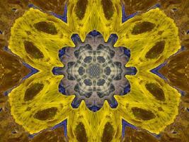 Reflection of colorful flowers in kaleidoscope pattern. Yellow and blue abstract background. Free photo. photo