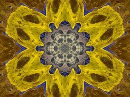 Reflection of colorful flowers in kaleidoscope pattern. Yellow and blue abstract background. Free photo. photo