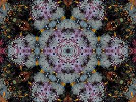 Colorful floral reflection kaleidoscope pattern. Abstract background. Free photo. photo