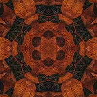 Brown abstract background. Wooden kaleidoscope pattern. Free photo. photo