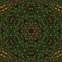 Dark green abstract square background. Kaleidoscope pattern of dark forest. Free background. photo