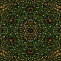 Dark green abstract square background. Kaleidoscope pattern of dark forest. Free background. photo