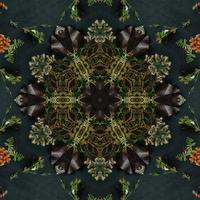 Dark green abstract rectangular background. Spruce kaleidoscope pattern. Free background. photo