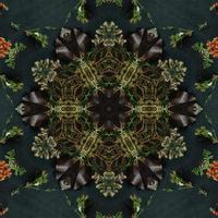 Dark green abstract rectangular background. Spruce kaleidoscope pattern. Free background. photo