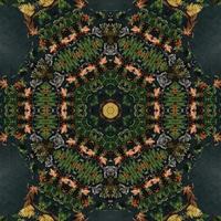 Dark green abstract rectangular background. Spruce kaleidoscope pattern. Free background. photo
