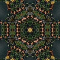 Dark green abstract rectangular background. Spruce kaleidoscope pattern. Free background. photo