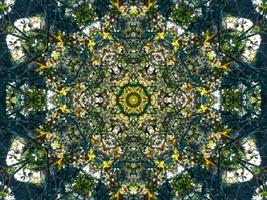 Dark green abstract rectangular background. Dense forest kaleidoscope pattern. Free background. photo