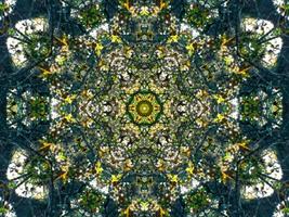 Dark green abstract rectangular background. Dense forest kaleidoscope pattern. Free background. photo