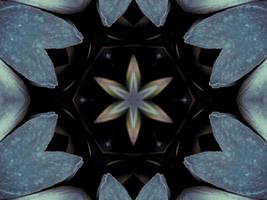 Black and white kaleidoscope pattern. Abstract background. Free photo. photo