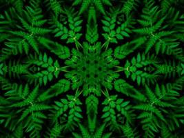 Reflection of leaves abstract background. Green kaleidoscope pattern. Free Photo.