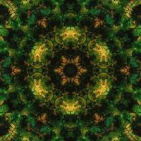 Dark green abstract square background. Kaleidoscope pattern of dark forest. Free background. photo