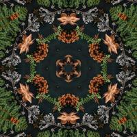 Dark green abstract rectangular background. Spruce kaleidoscope pattern. Free background. photo