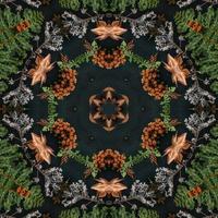 Dark green abstract rectangular background. Spruce kaleidoscope pattern. Free background. photo