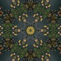Dark green abstract rectangular background. Spruce kaleidoscope pattern. Free background. photo