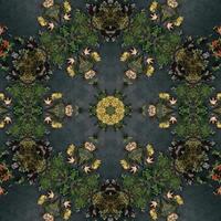 Dark green abstract rectangular background. Spruce kaleidoscope pattern. Free background. photo