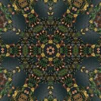 Dark green abstract rectangular background. Spruce kaleidoscope pattern. Free background. photo