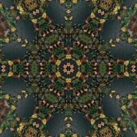 Dark green abstract rectangular background. Spruce kaleidoscope pattern. Free background. photo