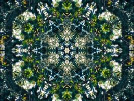 Dark green abstract rectangular background. Dense forest kaleidoscope pattern. Free background. photo