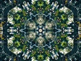 Dark green abstract rectangular background. Dense forest kaleidoscope pattern. Free background. photo