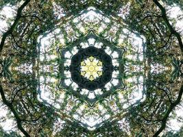 Dark green abstract rectangular background. Dense forest kaleidoscope pattern. Free background. photo