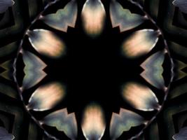 Black and white kaleidoscope pattern. Abstract background. Free photo. photo