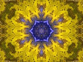 Reflection of colorful flowers in kaleidoscope pattern. Yellow and blue abstract background. Free photo. photo