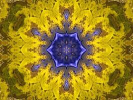 Reflection of colorful flowers in kaleidoscope pattern. Yellow and blue abstract background. Free photo. photo