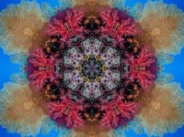 Colorful floral reflection kaleidoscope pattern. Abstract background. Free photo. photo