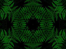 Reflection of leaves abstract background. Green kaleidoscope pattern. Free Photo. photo