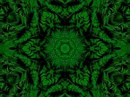 Reflection of leaves abstract background. Green kaleidoscope pattern. Free Photo. photo