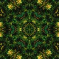 Dark green abstract square background. Kaleidoscope pattern of dark forest. Free background. photo