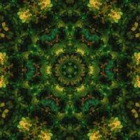 Dark green abstract square background. Kaleidoscope pattern of dark forest. Free background. photo