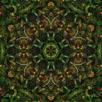 Dark green abstract square background. Kaleidoscope pattern of dark forest. Free background. photo