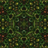 Dark green abstract square background. Kaleidoscope pattern of dark forest. Free background. photo