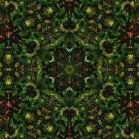 Dark green abstract square background. Kaleidoscope pattern of dark forest. Free background. photo