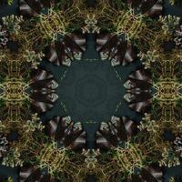 Dark green abstract rectangular background. Spruce kaleidoscope pattern. Free background. photo