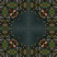 Dark green abstract rectangular background. Spruce kaleidoscope pattern. Free background. photo