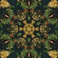 Dark green abstract rectangular background. Spruce kaleidoscope pattern. Free background. photo