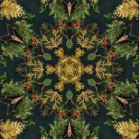 Dark green abstract rectangular background. Spruce kaleidoscope pattern. Free background. photo