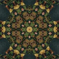 Dark green abstract rectangular background. Spruce kaleidoscope pattern. Free background. photo
