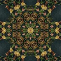 Dark green abstract rectangular background. Spruce kaleidoscope pattern. Free background. photo