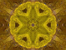 Reflection of colorful flowers in kaleidoscope pattern. Yellow and blue abstract background. Free photo. photo