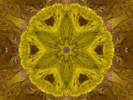 Reflection of colorful flowers in kaleidoscope pattern. Yellow and blue abstract background. Free photo. photo