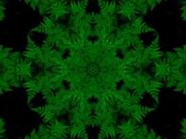 Reflection of leaves abstract background. Green kaleidoscope pattern. Free Photo. photo