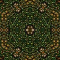Dark green abstract square background. Kaleidoscope pattern of dark forest. Free background. photo